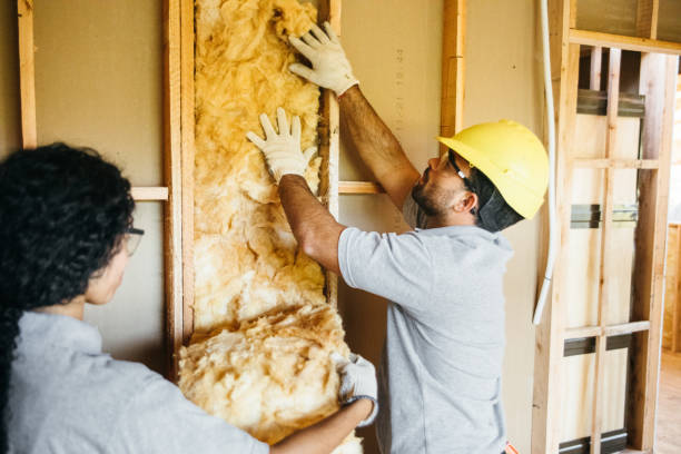 Best Spray Foam Insulation  in South Padre Island, TX